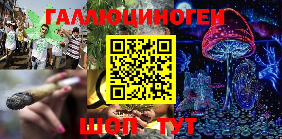 Когалым  Псилоцибиновые грибы Psilocybe  Вход с VPN 