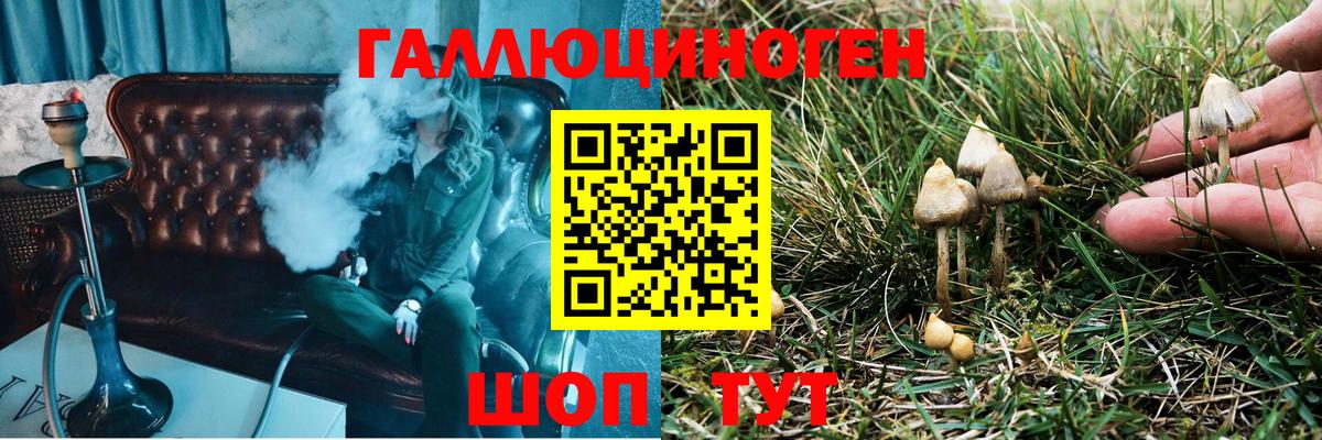 Галлюциногенные грибы Cubensis Когалым